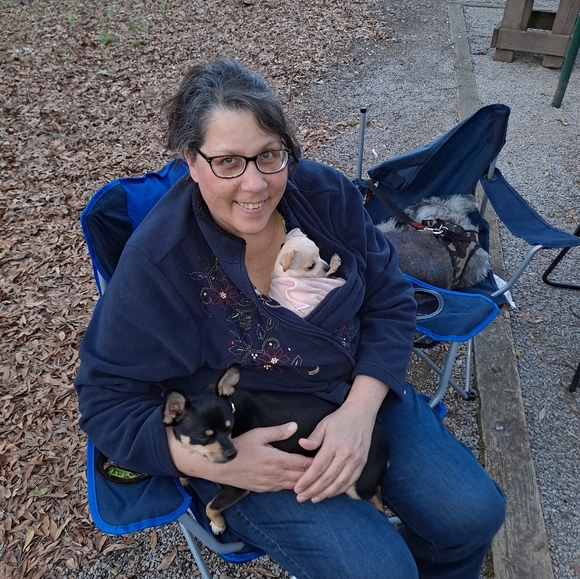 Meet Posher PittyPat - Picture 12 of 16